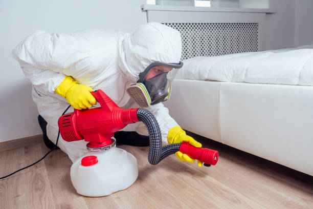 Best Pest Prevention Services  in Mount Hope, NJ